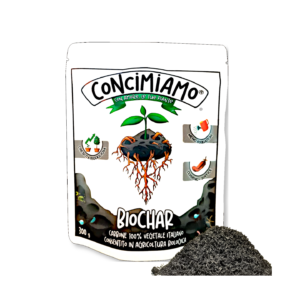 doypach apri e chiudi al centro della foto. Linea concimiamo con amore le tue piante, al centro pepit ingrandita di carbone ove si notano i corpi cavernosi e una pianta che sorge sopra di essa avvolge con le sue radici la pepita