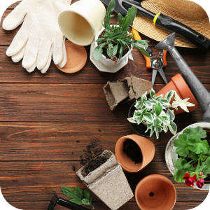 Accessori per Giardino